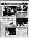Herald Cymraeg Saturday 03 January 1987 Page 19