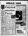 Herald Cymraeg Saturday 03 January 1987 Page 29