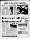 Herald Cymraeg Saturday 25 April 1987 Page 1