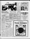 Herald Cymraeg Saturday 25 April 1987 Page 13