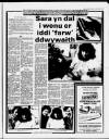 Herald Cymraeg Saturday 25 April 1987 Page 19