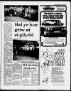 Herald Cymraeg Saturday 23 May 1987 Page 17