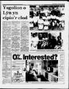 Herald Cymraeg Saturday 23 May 1987 Page 23