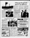 Herald Cymraeg Saturday 06 June 1987 Page 17
