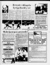 Herald Cymraeg Saturday 06 June 1987 Page 19
