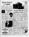 Herald Cymraeg Saturday 13 June 1987 Page 5