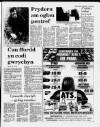 Herald Cymraeg Saturday 13 June 1987 Page 9