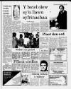 Herald Cymraeg Saturday 13 June 1987 Page 19