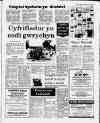 Herald Cymraeg Saturday 20 June 1987 Page 5