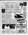 Herald Cymraeg Saturday 20 June 1987 Page 7
