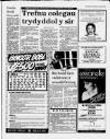 Herald Cymraeg Saturday 20 June 1987 Page 13