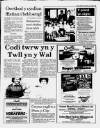 Herald Cymraeg Saturday 20 June 1987 Page 15