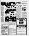 Herald Cymraeg Saturday 20 June 1987 Page 19