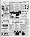 Herald Cymraeg Saturday 20 June 1987 Page 21