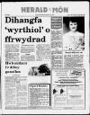 Herald Cymraeg Saturday 20 June 1987 Page 49