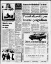 Herald Cymraeg Saturday 27 June 1987 Page 9