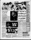 Herald Cymraeg Saturday 11 July 1987 Page 3