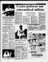 Herald Cymraeg Saturday 11 July 1987 Page 7