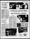 Herald Cymraeg Saturday 11 July 1987 Page 15