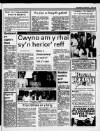 Herald Cymraeg Saturday 11 July 1987 Page 51