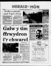 Herald Cymraeg Saturday 11 July 1987 Page 53