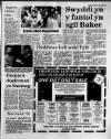 Herald Cymraeg Saturday 16 January 1988 Page 11