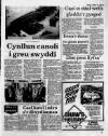 Herald Cymraeg Saturday 30 January 1988 Page 3