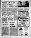 Herald Cymraeg Saturday 30 January 1988 Page 11