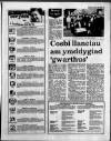 Herald Cymraeg Saturday 30 January 1988 Page 17