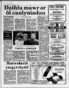 Herald Cymraeg Saturday 27 August 1988 Page 9