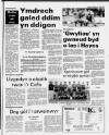 Herald Cymraeg Saturday 03 December 1988 Page 51