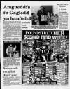 Herald Cymraeg Saturday 07 January 1989 Page 13