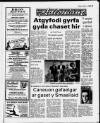 Herald Cymraeg Saturday 07 January 1989 Page 25