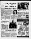 Herald Cymraeg Saturday 14 January 1989 Page 3
