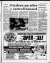 Herald Cymraeg Saturday 14 January 1989 Page 15