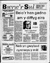 Herald Cymraeg Saturday 14 January 1989 Page 19
