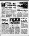 Herald Cymraeg Saturday 14 January 1989 Page 43