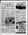 Herald Cymraeg Saturday 21 January 1989 Page 3
