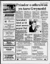 Herald Cymraeg Saturday 21 January 1989 Page 17