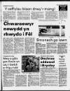 Herald Cymraeg Saturday 21 January 1989 Page 51
