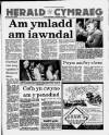 Herald Cymraeg Saturday 28 January 1989 Page 1