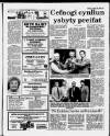 Herald Cymraeg Saturday 28 January 1989 Page 11