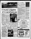 Herald Cymraeg Saturday 04 February 1989 Page 7