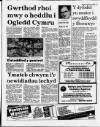 Herald Cymraeg Saturday 04 February 1989 Page 11
