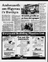 Herald Cymraeg Saturday 04 February 1989 Page 17