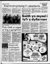 Herald Cymraeg Saturday 04 February 1989 Page 47