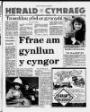 Herald Cymraeg Saturday 11 February 1989 Page 1
