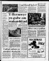 Herald Cymraeg Saturday 11 February 1989 Page 3