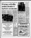 Herald Cymraeg Saturday 11 February 1989 Page 9