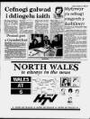 Herald Cymraeg Saturday 11 February 1989 Page 17